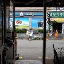 강아지사랑 이미지