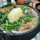 정드림흑염소