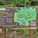 달홀공원 바닥분수 | 고성 달홀공원 산책기 — 바닥분수부터 전망대까지