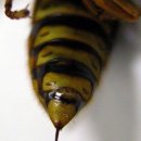 보현한의원 이미지