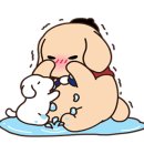 쿠치올로 이미지