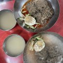 뚱보오리 네이버블로그
