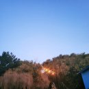 씨엔밤부 이미지