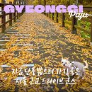 삼학도 무장애길 입구 | 서울 근교 가을 드라이브 코스 추천 헤이리 무장애 노을 숲길 애견동반 산책