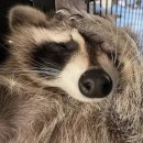 돈워리비해피 이미지