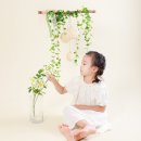 궁전사진관 이미지