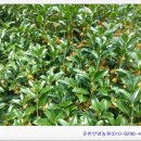 인영상사 이미지