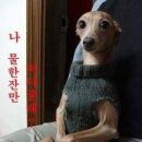 저기요