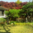 내곡동477 이미지