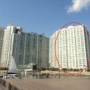 현대카멜리아,오뜨 이미지