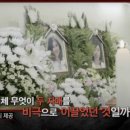 자매비어 이미지