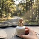 포레스트가든 | 차량용 방향제 추천 살림백서 방향제 포레스트 가든 만족 후기