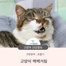 뉴하트동물병원 이미지