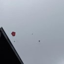 고양이 마을 이미지