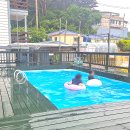 장미빛인생 | 꽃지해수욕장펜션 여름 휴가로 보낸 장미빛인생펜션