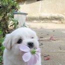 우쭈쭈 이미지