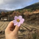 씨유 서부관광점 | 지리산 둘레길 3코스 (인월~금계) 일박이일 무계획 여행!