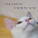 미묘