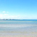 표선환승정류장 이미지