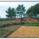 쪽섬목장 이미지