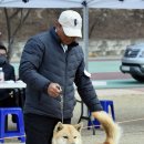 부광 이미지