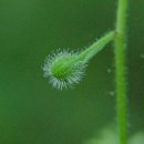 수주초등학교 이미지