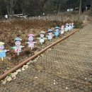 양지 어린이집 | 민락양지어린이집 2025학년도 2학기 부모참여수업 &#39;초록숲 탐험대&#39;