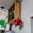 정의골도감소정육식당