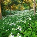 주암동농장 이미지