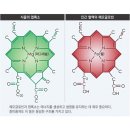 시톡 트루그린 내돈내산 후기