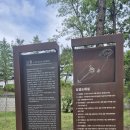 정도전길 | 조선왕조 제3대 태종 헌릉과 제23대 순조 인릉, 헌인릉 순례 후기