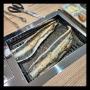 월야88장어 이미지