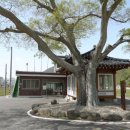 두봉마을경로당 이미지