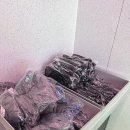 꿈끼발산 청소년 댄스 | 경주 여행 비 오는 날 아이와 가볼만한 곳 우주로 떠나는 실내 데이트 코스믹리조트