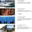 더 더블유 이미지