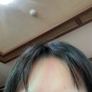 빵댕이넷 | 사랑 듬뿍 받은 3월