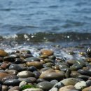 문동일셰프녹차고을 이미지