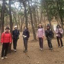 2025.12.06(토) 만월산 둘레길/ 유하 이미지