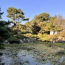 비움박물관 | 아산에 가면 꼭 들러야 하는 곳!! &#39;온양민속박물관&#39; 방문 후기