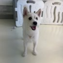 나댕디 | [2022년 7월 첫째주] 일단 사과부터 하고 보는 주간 버터 (아무튼 미안해)