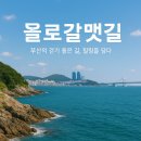 YOLO갈맷길 7코스 | [부산광역시] &#39;욜로(YOLO) 온나&#39; 부산의 걷기 좋은 길, 욜로갈맷길로 부산 완전 정복!