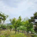 모전공원(테니스장) 이미지