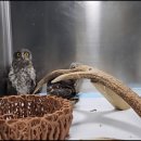 전남야생동물구조관리센터 이미지