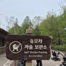 로스트씨 | 에버랜드 사파리월드 & 로스트밸리 관람 후기