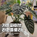 가든플로라꽃집 이미지