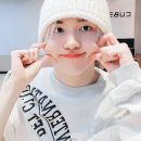 키노 이미지