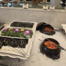 맛있는 전 | 서울 밥맛있는웨딩홀 명동라루체 뷔페 본식 전 시식 후기