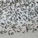 의료법인 제주우리의료재단 이미지