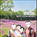 영신자전거 | 서울 불암산 철쭉축제 현장, 아이와 가볼만한 곳으로 좋네요. (직접 다녀온 솔직 후기)