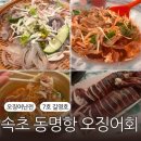 강원도 속초 동명항 7호 ‘길영호’ 오징어 포장마차 후기